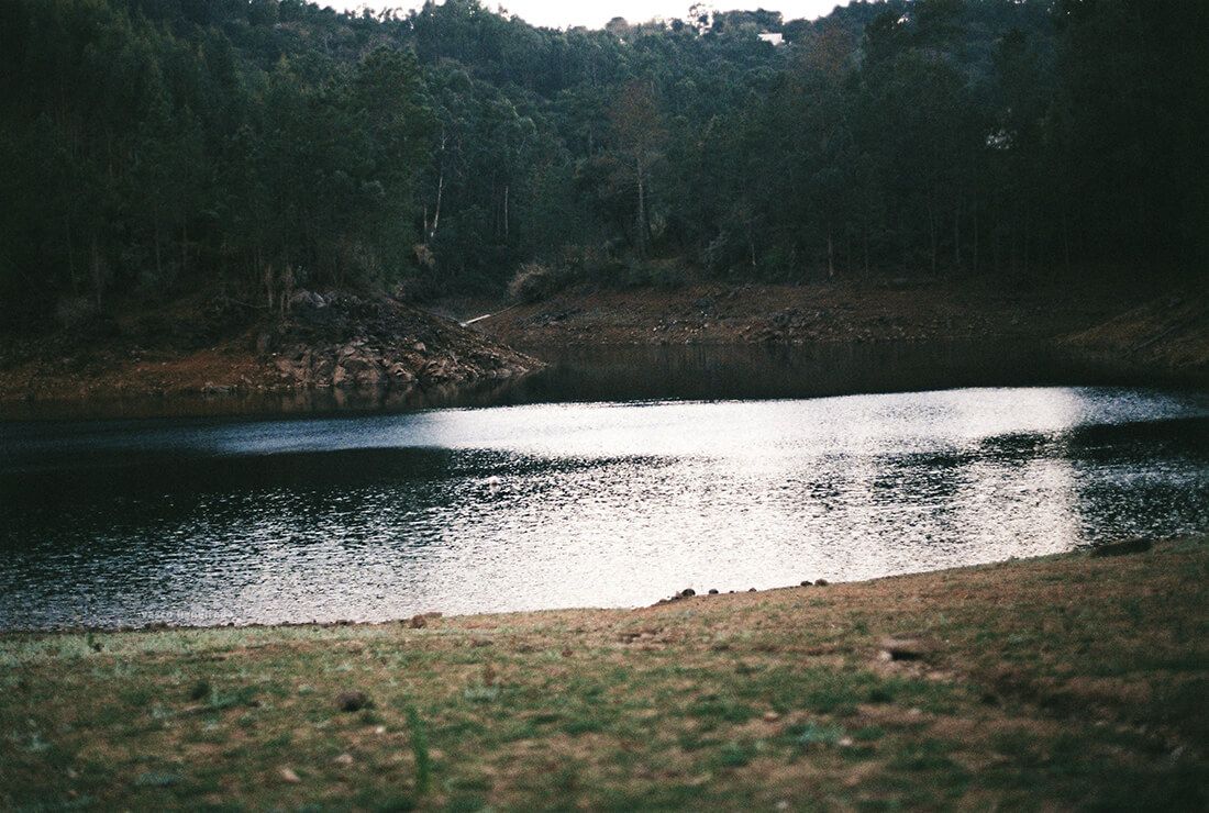 66.
